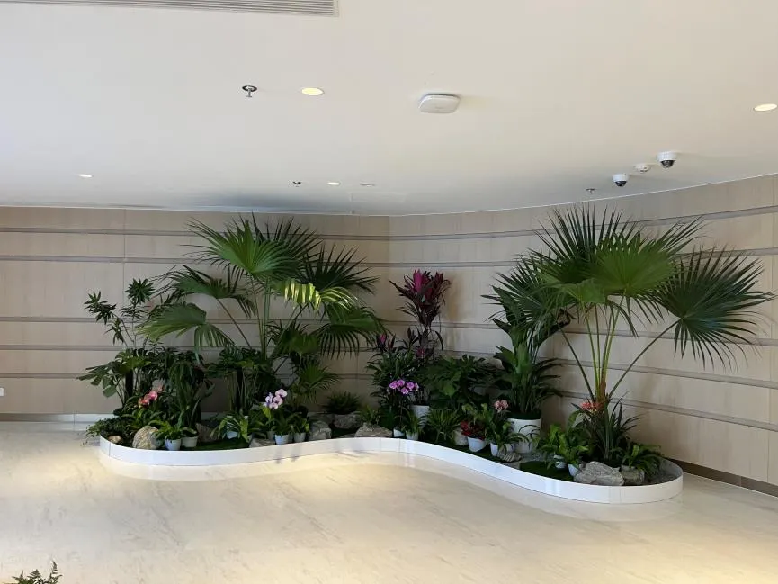 余姚花卉租赁价格,你了解多少?速戳!